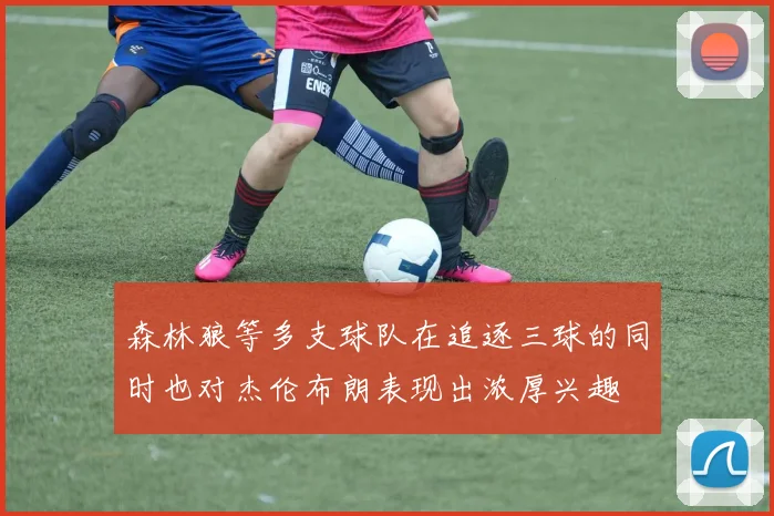 森林狼等多支球队在追逐三球的同时也对杰伦布朗表现出浓厚兴趣
